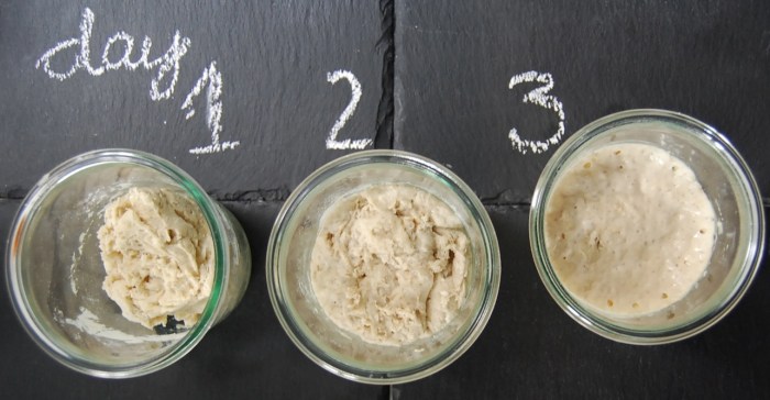 Chef development top