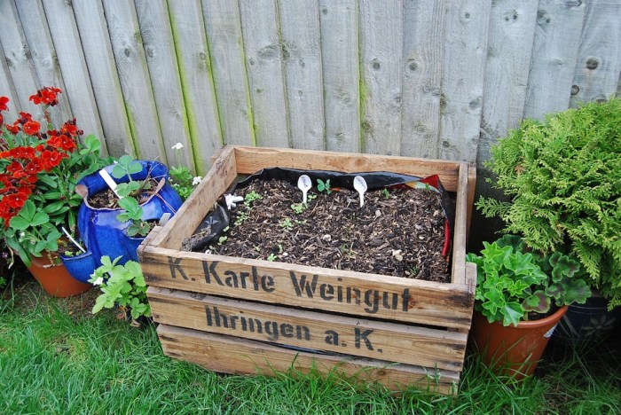 A new take on the 'veg box'