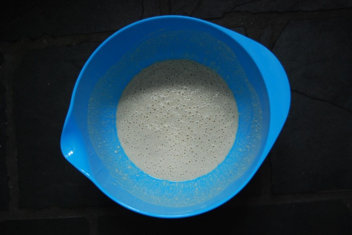 The starter bubbling away.