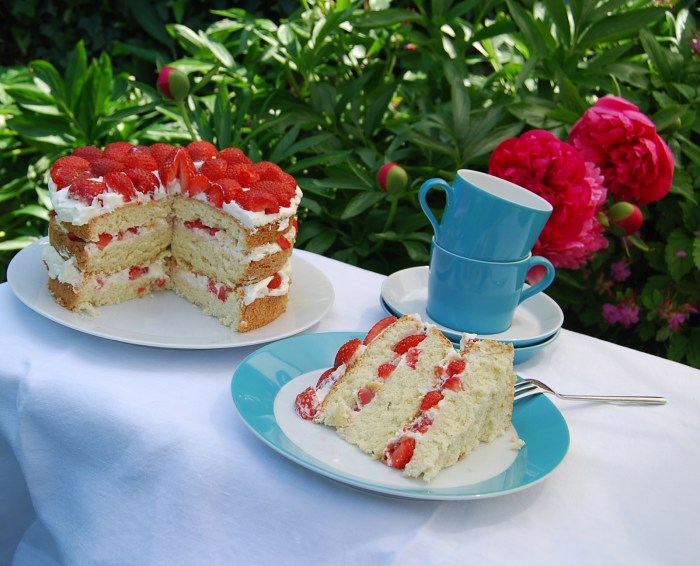Strawberry and Cream Gateau