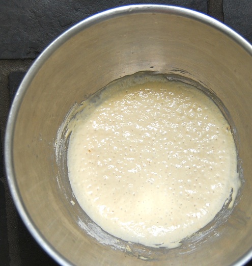 The poolish after ripening overnight