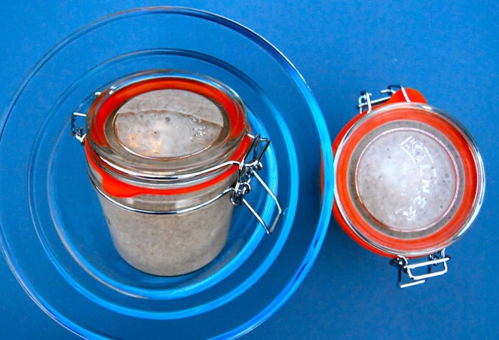 sourdough starter with wild yeast