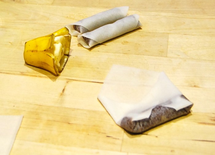 Nutella spring rolls