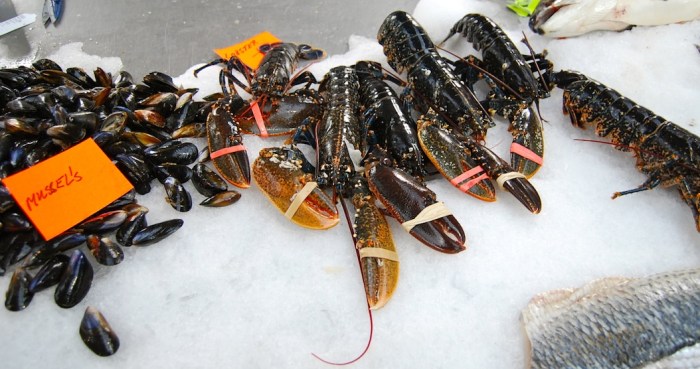 Belfast St Georges Market 5