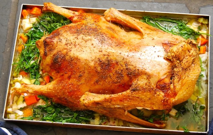 roast goose 1
