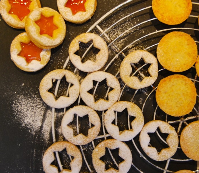 Marillenringe assembly 1