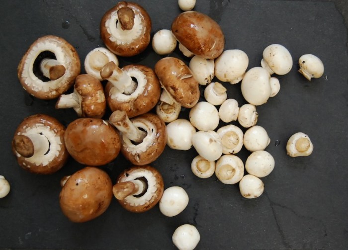 Semmelknödel mushrooms