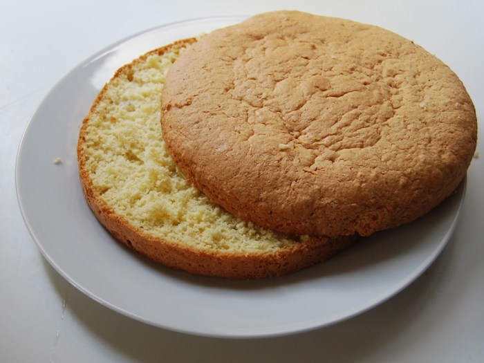 Pastel Tres Leches sponge cut