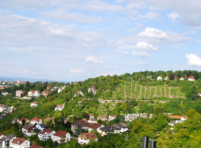 Stuttgart Neue Weinsteige