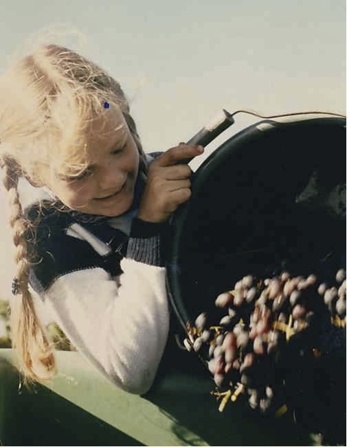 Weinernte 1980_NEW