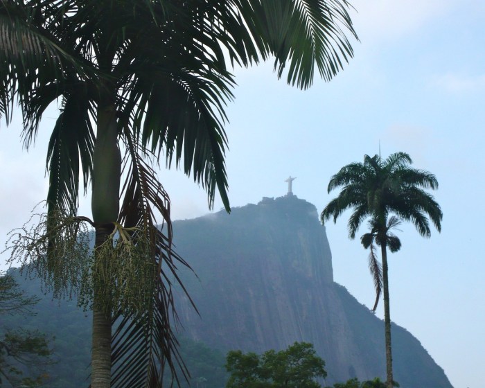 Rio de Janeiro Botanical Gardens