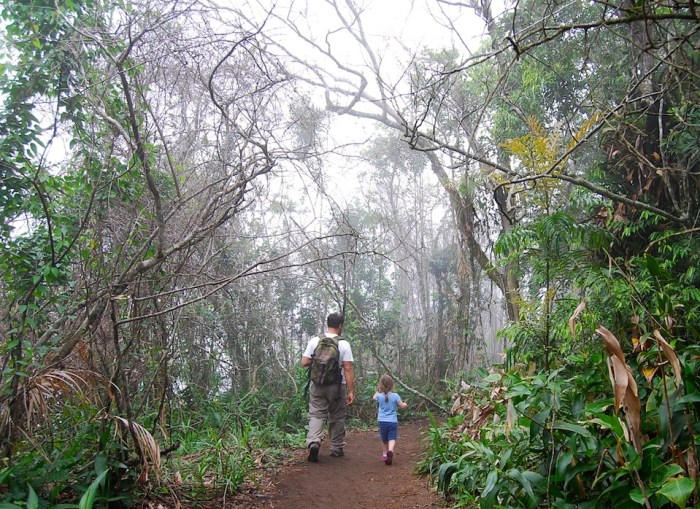 Rio de Janeiro Pedra Bonita hike
