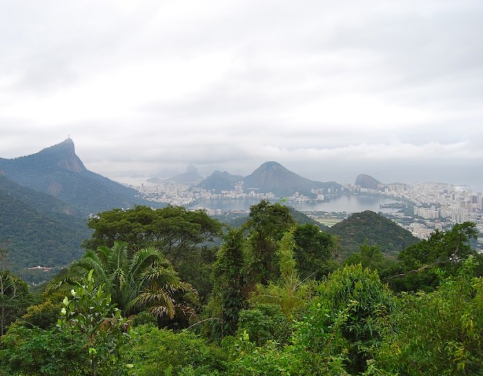 Rio de Janeiro View Pedra Bonita