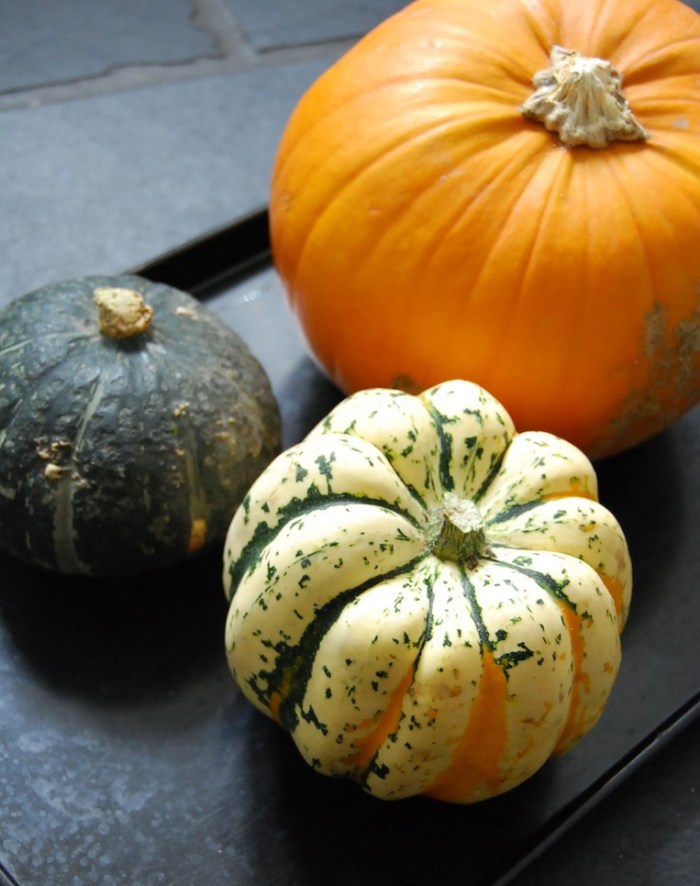pumpkins and squash